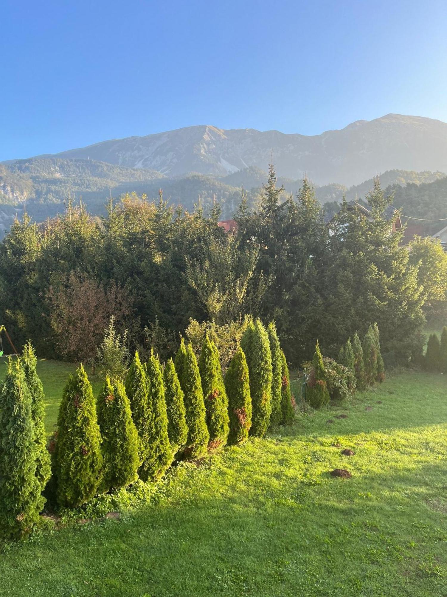 Apartments Malivojevic Жировница Номер фото